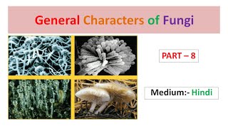 General Characters of Fungi Part8 Hindi [upl. by Adnihc]