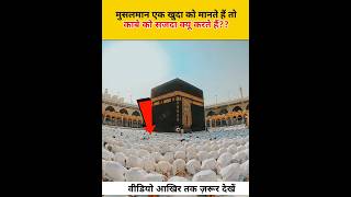 Kya Musalman Kabe Ko Sajda Karte Hain 🔥  Real Fact 444 [upl. by Melvyn428]