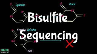 Bisulfite Sequencing  Whole Genome Bisulfite Sequencing  WGBS  BiSeq  DNA Methylation Detection [upl. by Nemzaj831]