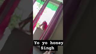 Ek dm aaye honey singh 😂😂rap music yoyohoneysinghnewsong hiphop song newsong [upl. by Anaitsirc]