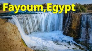 Travel to EGYPT 05 things to do in Fayoum Egypt [upl. by Aderb]