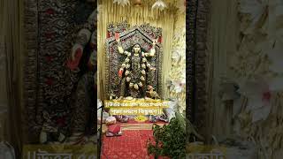 kalipujo shorts viral highlight uttor55gram [upl. by Hcurob674]