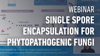 WEBINAR  Single spore encapsulation for phytopathogenic fungi a review by Dr Sehrish Iftikhar [upl. by Lyrem]