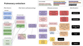 Pulmonary embolism mechanism of disease [upl. by Eirhtug]