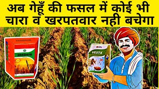 गेहूं के सारे खरपतवार व चारे खत्म  Gehu ki kheti me kharpatwar niyantran  Upl vesta  Herbicide [upl. by Ecydnarb288]