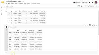 Python univariate statistics [upl. by Iba]