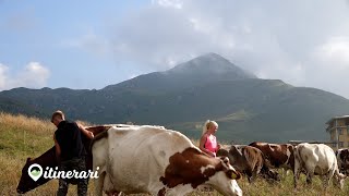 ITINERARI DA ARTAVAGGIO AL GHERARDIDAVIDE E VALERY LA NUOVA VITA DA RIFUGISTI AL CAZZANIGA MERLINI [upl. by Aerdnaed]