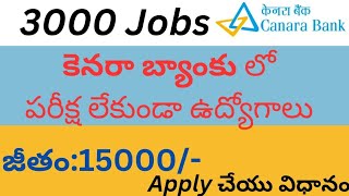 Canara Bank Apprentice Apply process Form Fill Up  Canara Bank jobs [upl. by Birdie]