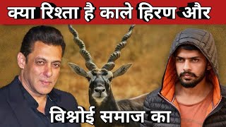 क्या रिश्ता है काले हिरण और बिश्नोई समाज का। Relationship Between Black Deer amp Bishnoi Community [upl. by Neellok282]