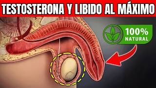 16 Alimentos para Impulsar la Testosterona y Turbinar la Libido [upl. by Bradway337]