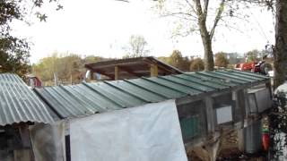 Rabbit Video 7 Winterizing the rabbit hutches [upl. by Orvil]