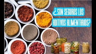 ¿Son seguros los aditivos alimentarios [upl. by Modesta]