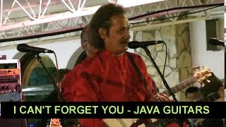 I CANT FORGET YOU  JAVA GUITARS [upl. by Lopez]