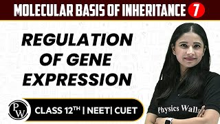 Molecular Basis of Inheritance 07  Regulation of Gene Expression  Pure English  12th  NEETCUET [upl. by Amilb]