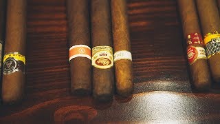 Understanding Cigars [upl. by Dodd710]