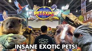 PHILIPPINE PET EXPO 2024 TOUR Best exotic pet expo [upl. by Keenan]