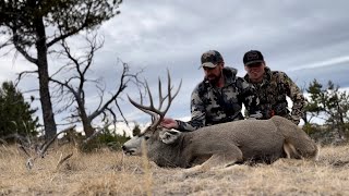 The Gutless Method in Detail gutlessmethod fielddressing deerhunting deer biggame hunting [upl. by Leshia]