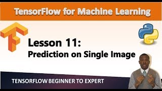 TensorFlow Tutorial 11  Make Prediction on a Single Image [upl. by Cullen959]