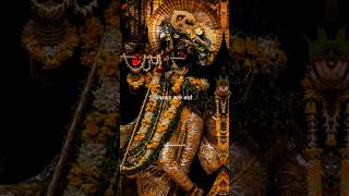 Shyaama Aan Baso  Radha Krishna  radheshyam radhakrishna shorts song brindaban bhakti songs [upl. by Ainat]