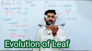 917 Evolution of leaf  Kingdom plantae Fsc Biology class 11 [upl. by Eneluqcaj841]