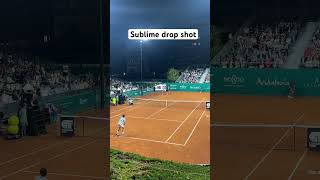 Roberto Carballes Baena drop shot vs Daniel Altmaier Seville Challenger 2024 [upl. by Mcroberts439]