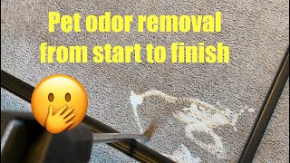 Pet odor removal of start to finish ￼ [upl. by Tiernan]