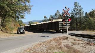 CP 2294 at Genelle and Taghum BC Oct 13 2024 [upl. by Essyle]