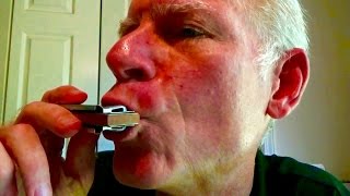 Learn Blues Harmonica 101 the essential lesson for beginners [upl. by Kataway]