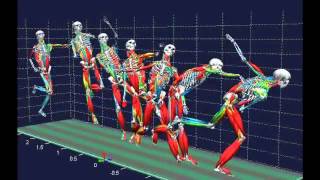 Biomechanical analysis [upl. by Atinehc162]