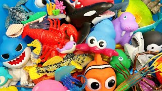 Learn Sea Animal Names and Facts I Sea Animals For Kids I Ocean Creatures [upl. by Alemahs]