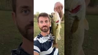 Fishing at Turtlehead Lake 🎣 🐢 fishing fishinglife fishingvideo fishingtrip fishingvideos [upl. by Whorton]