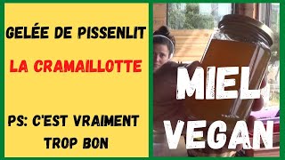 Gelée de FLEURS de PISSENLIT la cramaillotte  le MIEL VEGAN [upl. by Andaira]