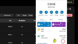 Part 1 Bridging amp Staking WYScale USDT Pool [upl. by Anilegna]