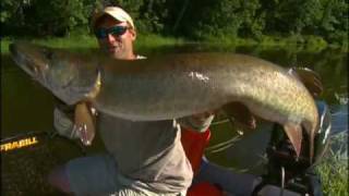 Top 5 Small River Musky Baits [upl. by Naniac185]