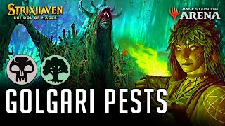 Golgari Pests  WARNING Big Brain Plays Ahead [upl. by Shelly598]