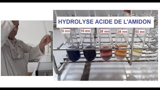 Hydrolyse acide et à chaud de lamidon TP [upl. by Avid905]