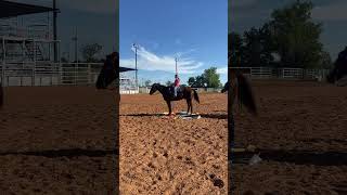 Dear Rodeo horse horseriding riding obstacles horsegirl [upl. by Htidirrem]