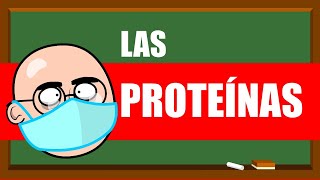 PROTEÍNAS Y AMINOÁCIDOS 💪💪💪 UN MES DE CLASES EN 5 MINUTOS [upl. by Reedy]