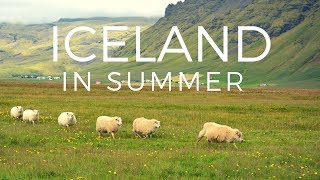 WHAT IS ICELAND LIKE IN SUMMER 🇮🇸🤔 Travel vlog [upl. by Kcirdle]