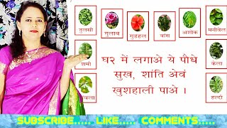 10 lucky plants for home l ghar me lagaye ye 10 paudhe vastu tips for plants l ghar ke ped paudhe [upl. by Krakow]