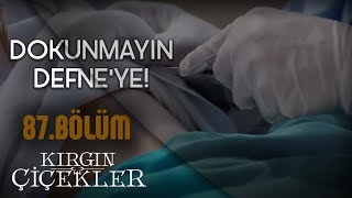 Kızlar mafyanın elinden kurtulabilecek mi  Kırgın Çiçekler 87Bölüm [upl. by Bui]