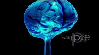 Neuroanatomy The Cerebrospinal Fluid CSF [upl. by Eisoj]