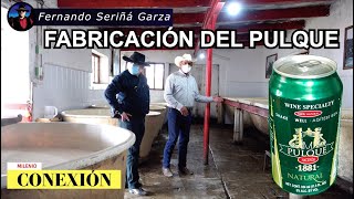 FABRICACION DEL PULQUE [upl. by Horst]