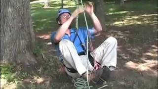 Climbing trees using the rope technique [upl. by Leddy]