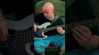 Primus  Southbound Pachyderm Bass Cover primus basscover bass rock funk metal lesclaypool [upl. by Bergeron]