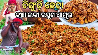 କଞ୍ଚା ଲଙ୍କା ରସୁଣ ଅମ୍ବୁଲ ପାଗରେ ଚିଙ୍ଗୁଡ଼ି ଛେଚା  Prawns Chhecha Recipe  Chingudi Chhecha recipe [upl. by Edwine651]