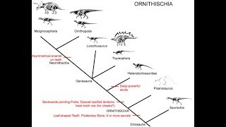 Ornithischia [upl. by Schreiber]