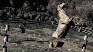 DRESSAGE DE CHEVAUX RIDGEWOOD FARM RED DEAD REDEMPTION [upl. by Pelagias812]