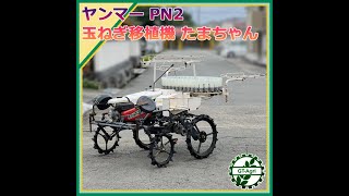 ★商品紹介★231469ヤンマー PN2 玉ねぎ移植機YANMAR onion transplanter [upl. by Llenwad]