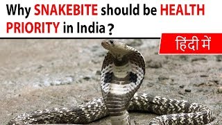 Why SNAKEBITE should be HEALTH PRIORITY in India Snakebite kills 45000 Indians every year [upl. by Cappella298]